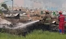 Bakar Sampah Picu Kebakaran Lahan di Mangunharjo, Damkar Probolinggo Langsung Turun