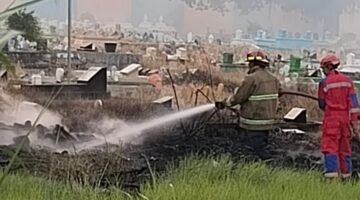 Bakar Sampah Picu Kebakaran Lahan di Mangunharjo, Damkar Probolinggo Langsung Turun