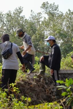 Kawasan Mangrove Disiapkan Jadi Destinasi Wisata Baru Kota Probolinggo