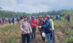 Polres Lumajang Amankan Aksi Reklaiming HGU PT Kalijeruk Baru, Massa Tanam Pisang Secara Simbolis