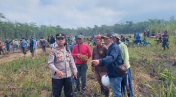 Polres Lumajang Amankan Aksi Reklaiming HGU PT Kalijeruk Baru, Massa Tanam Pisang Secara Simbolis