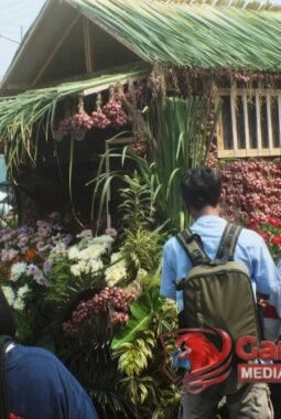 RIBUAN WARGA BEREBUT GUNUNGAN BAWANG MERAH, LUDES SEBELUM SAMPAI FINISH