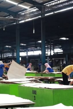 Pemerintah Daerah Cermati RUU Ketenagakerjaan untuk Menjaga Keseimbangan Hubungan Industrial
