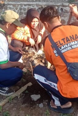 Dari Gerakan Warga hingga Aksi Destana, Kelorisasi Mangunharjo Jadi Langkah Bersama Jaga Lingkungan
