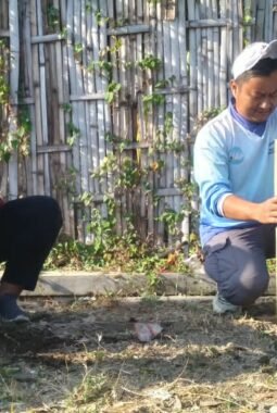 Kelorisasi di Mangunharjo Dorong Warga Sulap Lingkungan Jadi Sumber Pangan Produktif
