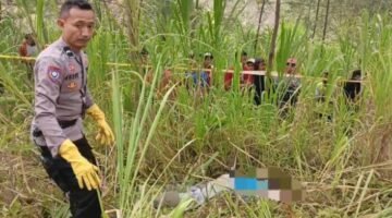 Polisi Olah TKP Penemuan Warga Meninggal di Hutan Sumber Probolinggo