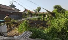 Lahan Terbakar di Mangunharjo, Damkar Probolinggo Tiba 9 Menit Usai Berangkat