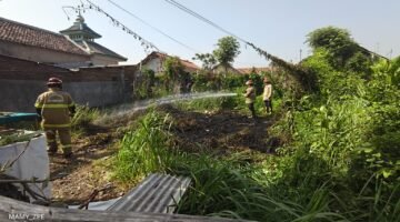 Lahan Terbakar di Mangunharjo, Damkar Probolinggo Tiba 9 Menit Usai Berangkat