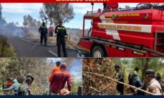 AKSI CEPAT POLRES LUMAJANG BERSAMA TIM GABUNGAN BERHASIL JINAKKAN API DI BLOK BANTENGAN