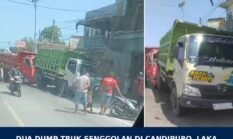Kecelakaan Lalu Lintas melibatkan Dua Dump Truk Terjadi di Badan Jalan Candipuro Lumajang, Laka Material Diselesaikan Mediasi di Polsek