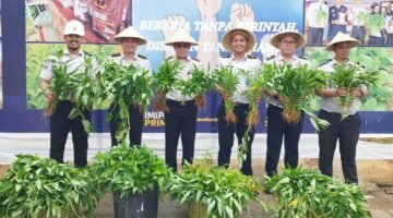 Karutan Kelas I Palembang Bersama Jajaran Panen Kangkung, Dukung Ketahanan Pangan dan Optimalisasi Lahan Produktif