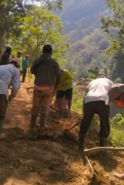 Guyub Rukun Warga Desa Sapikerep Swadaya Kerja Bakti Perbaiki Jalan dan Pemasangan Paving